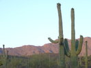 photo thumbnail #11