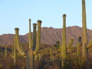 photo thumbnail #13