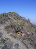 photo thumbnail #6