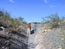 photo thumbnail #1