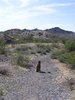 photo thumbnail #2