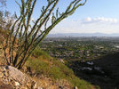 photo thumbnail #5