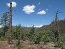 photo thumbnail #7