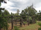 photo thumbnail #13