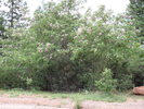photo thumbnail #15