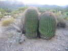photo thumbnail #5