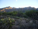 photo thumbnail #6