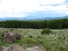 photo thumbnail #10