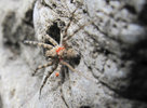 photo thumbnail #5