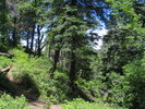 photo thumbnail #5