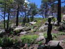 photo thumbnail #11