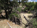 photo thumbnail #10