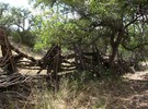 photo thumbnail #11