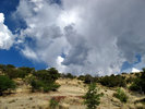 photo thumbnail #12