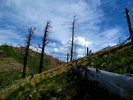 photo thumbnail #9