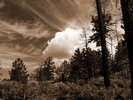 photo thumbnail #12