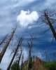 photo thumbnail #13