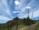 photo thumbnail #14