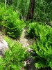 photo thumbnail #15