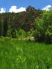 photo thumbnail #5