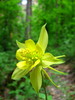 photo thumbnail #10
