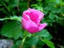 photo thumbnail #13
