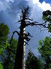 photo thumbnail #14