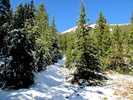 photo thumbnail #3