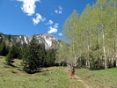photo thumbnail #7