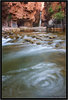 Featured Detail Photo