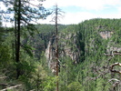 recent photo