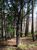 photo thumbnail #8