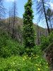 photo thumbnail #12