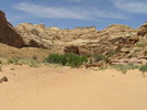 photo thumbnail #14