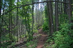 photo thumbnail #6