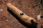 photo thumbnail #7