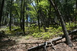 photo thumbnail #11