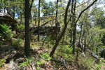 photo thumbnail #15