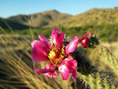 photo thumbnail #2