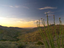 photo thumbnail #6