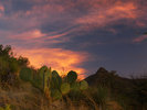photo thumbnail #8