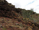 photo thumbnail #6