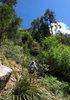 photo thumbnail #13