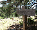 photo thumbnail #15