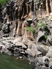 Featured Full Photo