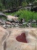 photo thumbnail #11