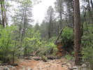 photo thumbnail #4