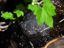 photo thumbnail #14