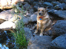 photo thumbnail #7