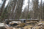 photo thumbnail #9